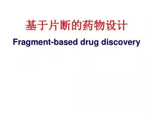 基于片断的药物设计课件