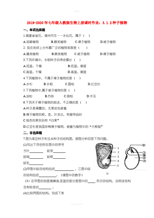 2019-2020年七年级人教版生物上册课时作业：3.1.2种子植物