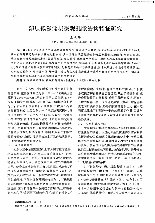 深层低渗储层微观孔隙结构特征研究