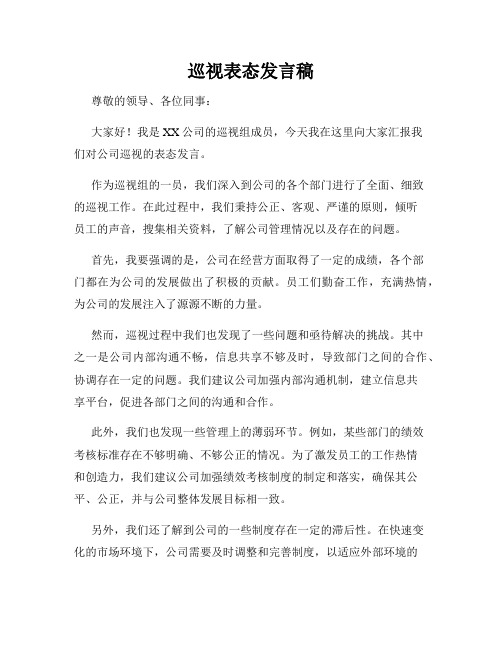 巡视表态发言稿