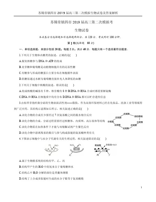 苏锡常镇四市2019届高三第二次模拟生物试卷及答案解析