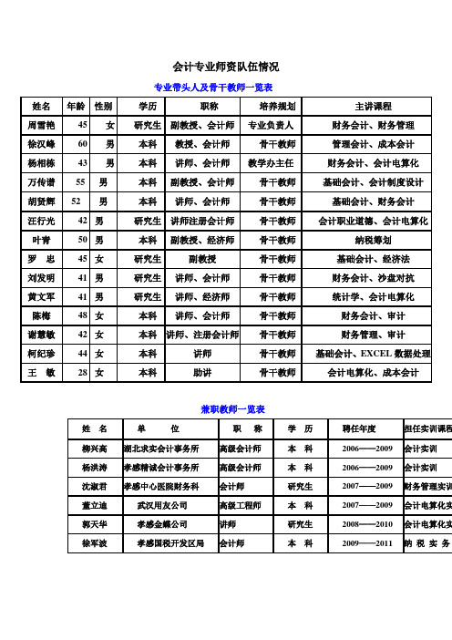 会计挂网专业师资队伍情况