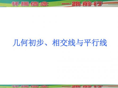 2013年中考数学考前热点拨《几何初步、相交线与平行线 》