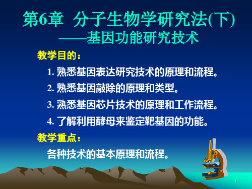 第6章分子生物学研究法(下).ppt