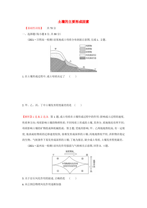 高中地理课时练11土壤的主要形成因素(含解析)中图版必修第一册