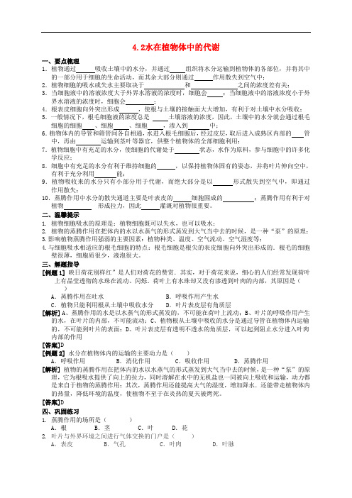 八年级科学上册 4.2 水在植物体中的代谢导学案 (新版)