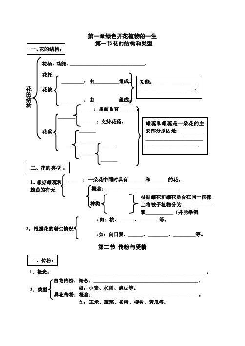 绿色开花植物的一生复习提纲