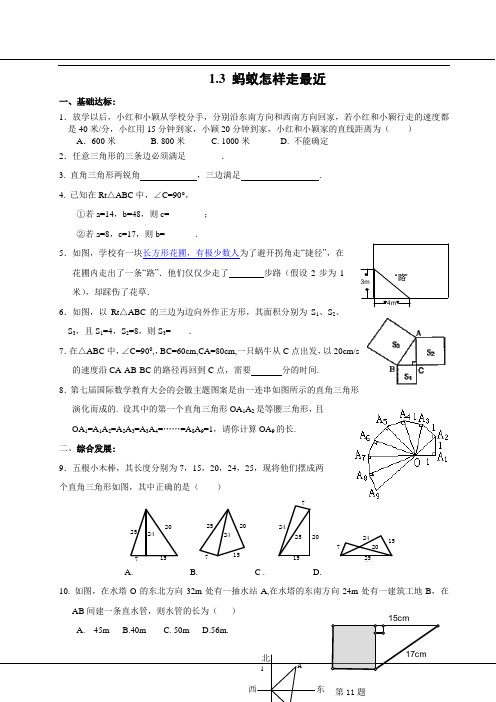 蚂蚁怎样走最近练习卷