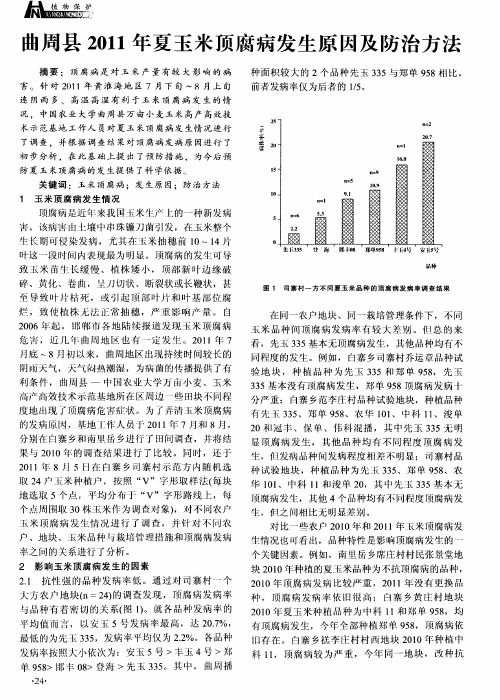 曲周县2011年夏玉米顶腐病发生原因及防治方法