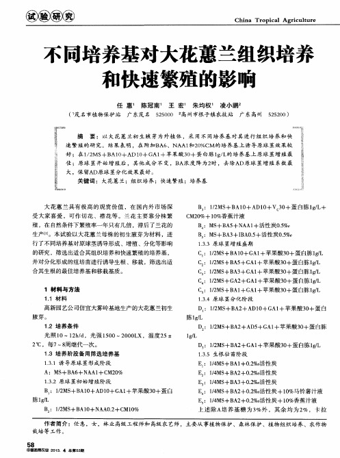 不同培养基对大花蕙兰组织培养和快速繁殖的影响