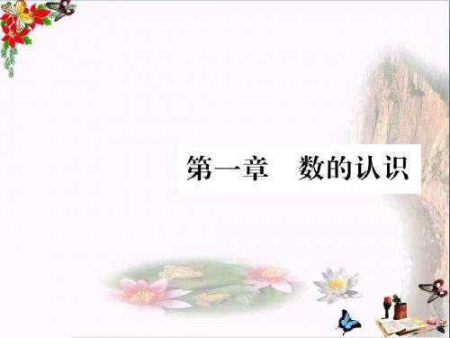 小升初数学第一章数的认识第1课时整数的认识课件北师大版