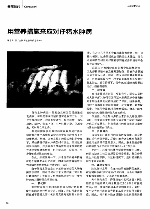 用营养措施来应对仔猪水肿病