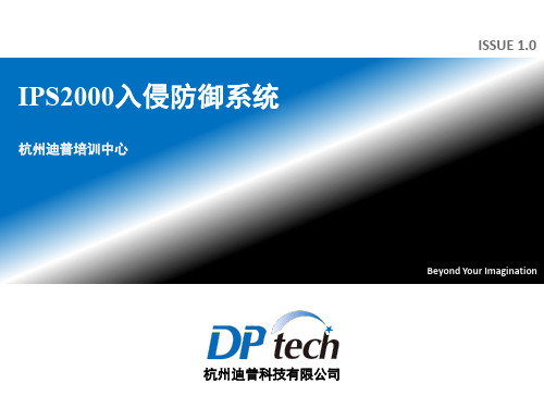 DPtech IPS2000入侵防御系统(培训文档)