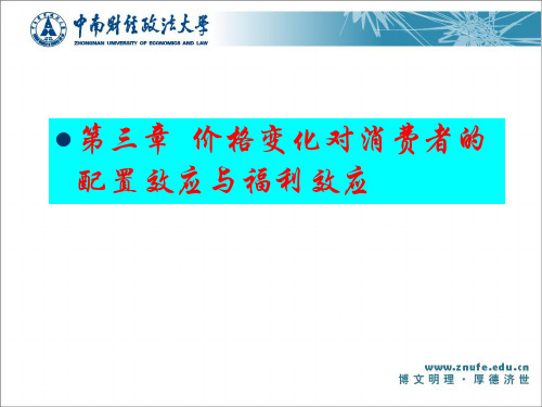 《微观经济十八讲》第三章价格变化对消费者的配置效应与福利效应