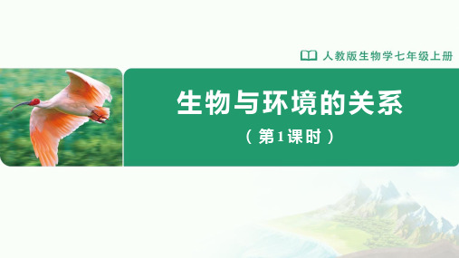 人教版七年级生物上册《第一节 生物与环境的关系(第1课时)》同步精品课件