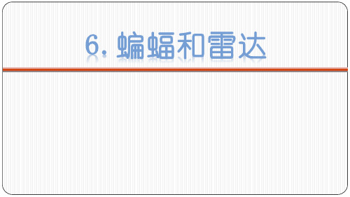 《蝙蝠和雷达》PPT免费课件演示课件