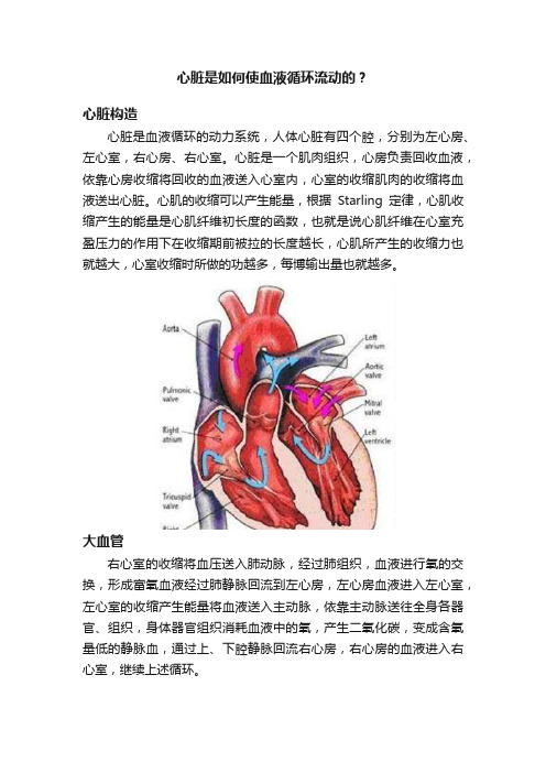 心脏是如何使血液循环流动的？