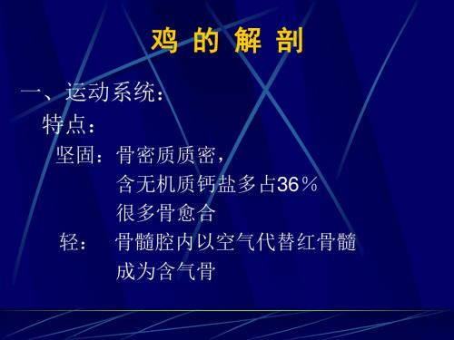 鸡的组织,结构及解