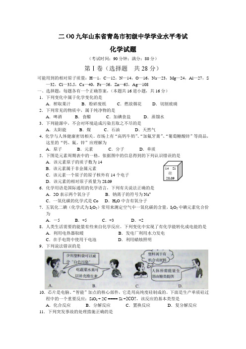 2009年山东省青岛市中考化学试题及答案