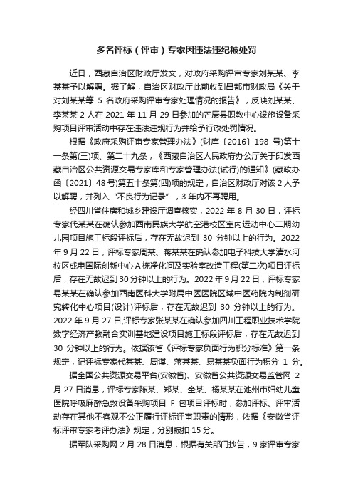 多名评标（评审）专家因违法违纪被处罚