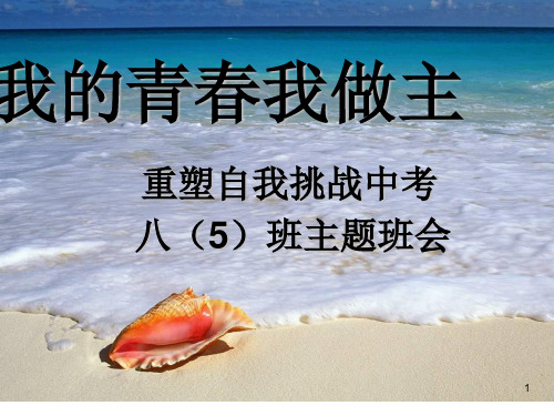 我的青春我做主ppt课件