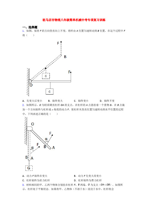 驻马店市物理八年级简单机械中考专项复习训练