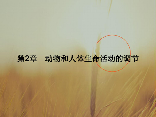 2018学年高中生物必修三课件:2.1通过神经系统的调节