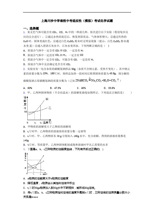 上海川沙中学南校中考适应性(模拟)考试化学试题