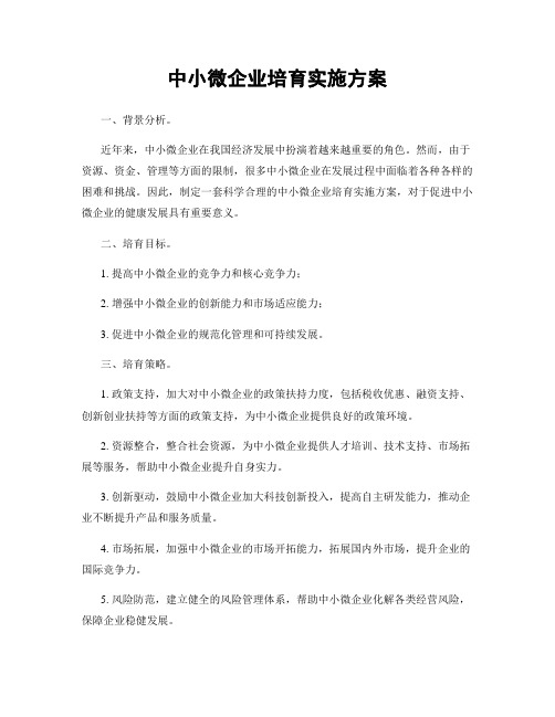 中小微企业培育实施方案