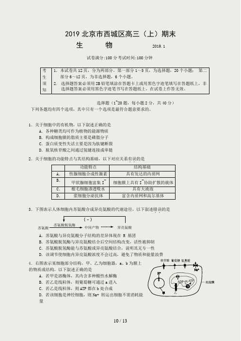 北京市西城区2018-2019学年高三期末生物试题及参考答案