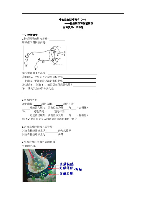 高考生物总复习例题讲解：动物生命活动调节(一)——神经调节和体液调节