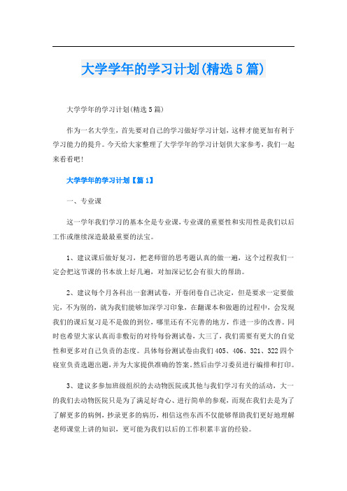 大学学年的学习计划(精选5篇)