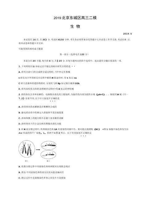 2019届北京市东城区高三生物二模试题和答案详细解析