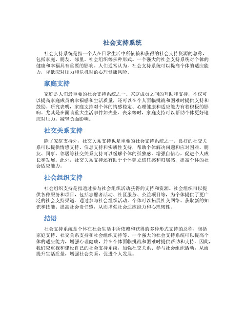 社会支持系统