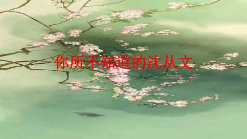 沈从文的爱情(讲)