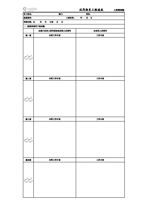 016新员工试用期跟进表