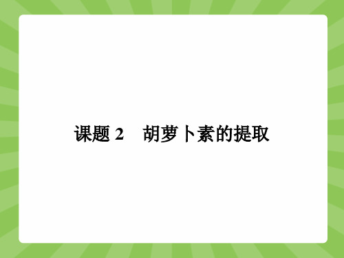 高二生物人教版选修1课件6.2 胡萝卜素的提取