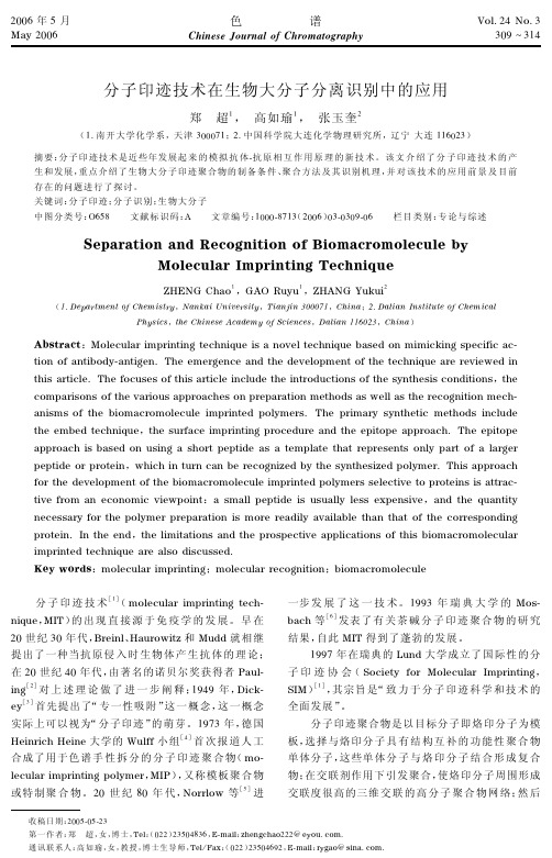 分子印迹技术在生物大分子分离识别中的应用