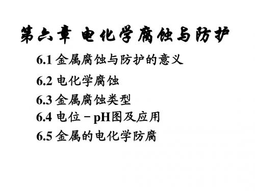 6第六章 电化学腐蚀与防护