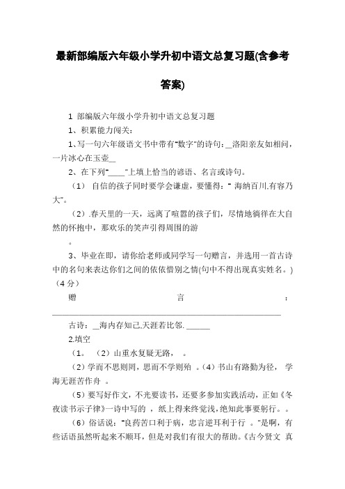 最新部编版六年级小学升初中语文总复习题(含参考答案)