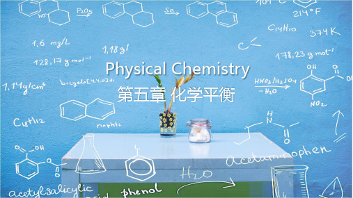 物理化学-第五章-化学平衡