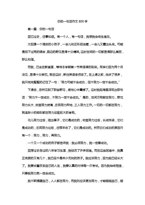 你的一句话作文800字