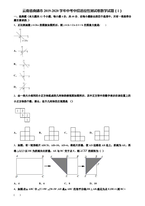 云南省曲靖市2019-2020学年中考中招适应性测试卷数学试题(1)含解析