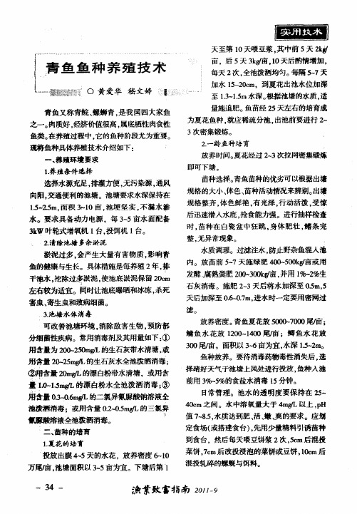 青鱼鱼种养殖技术