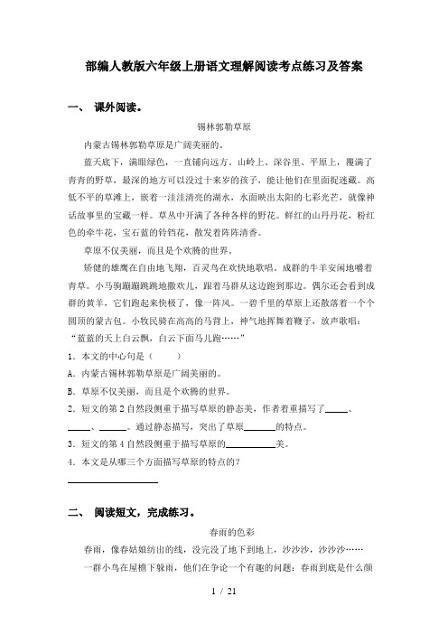 部编人教版六年级上册语文理解阅读考点练习及答案