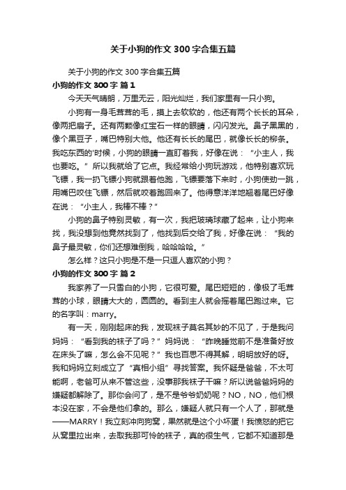 关于小狗的作文300字合集五篇