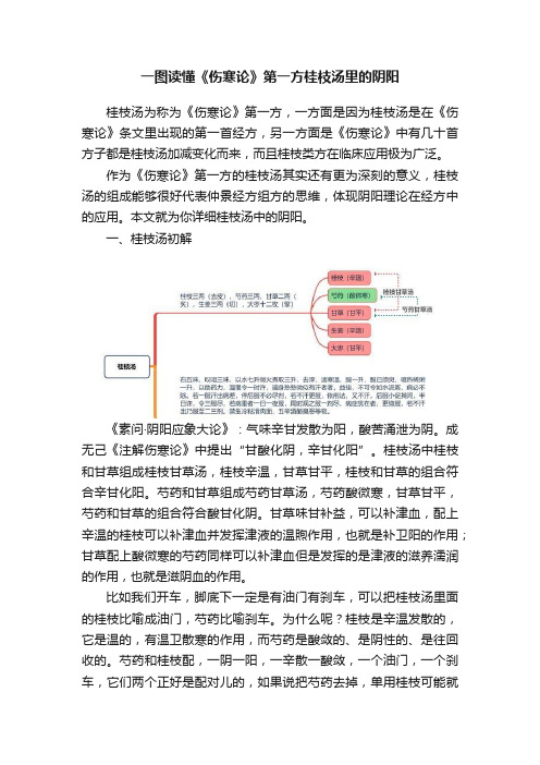 一图读懂《伤寒论》第一方桂枝汤里的阴阳