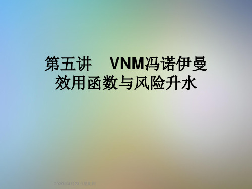 第五讲    VNM冯诺伊曼效用函数与风险升水