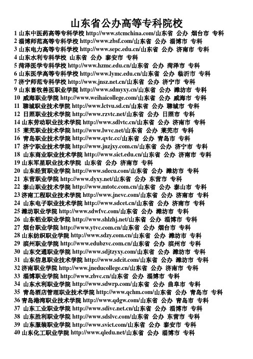 山东省公办专科院校