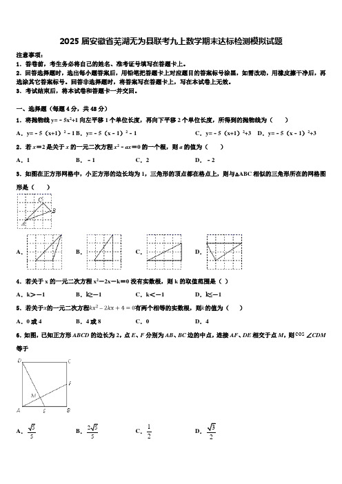 2025届安徽省芜湖无为县联考九上数学期末达标检测模拟试题含解析